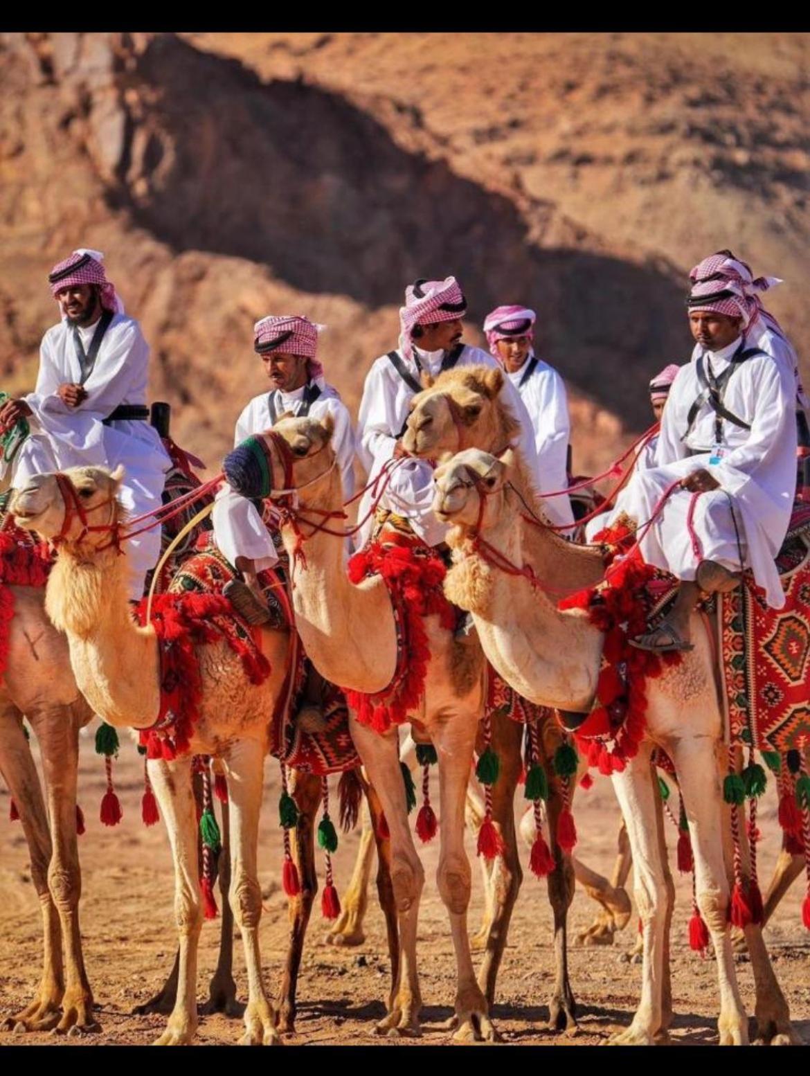 Hotel Mozoon camp Wadi Rum Exterior foto